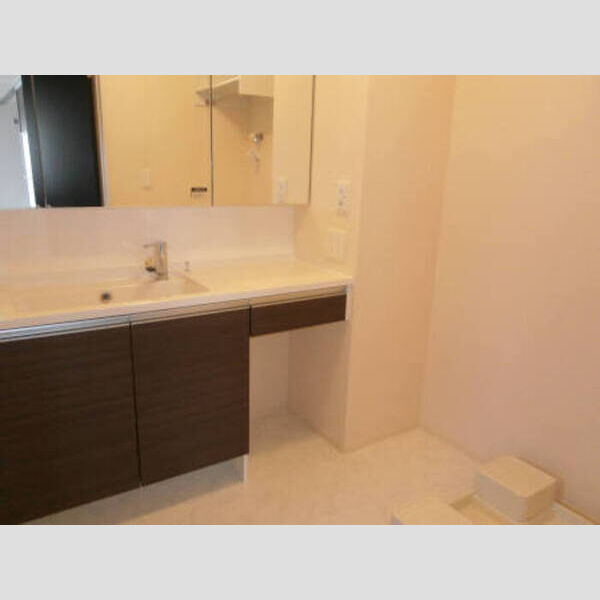 洗面所 (洗髪洗面化粧台)