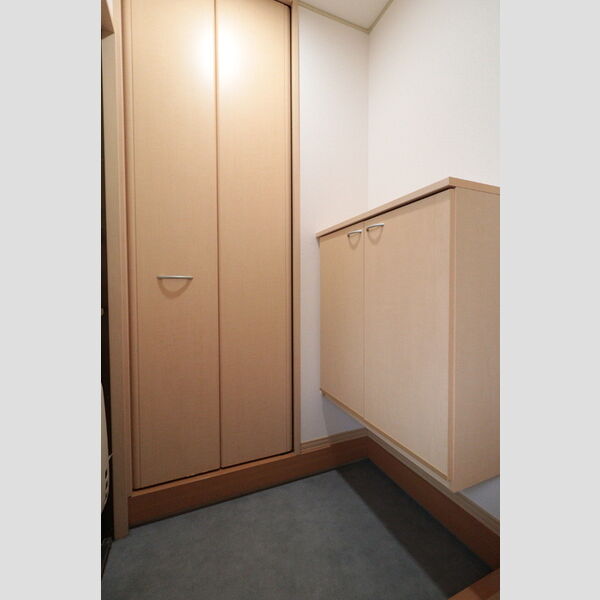 玄関 (シューズボックス(カウンタータイプ)と物入)