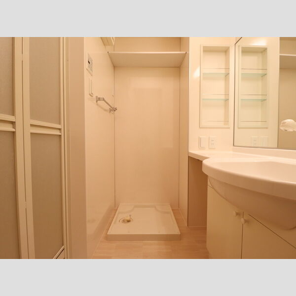 その他 (室内洗濯機置場)