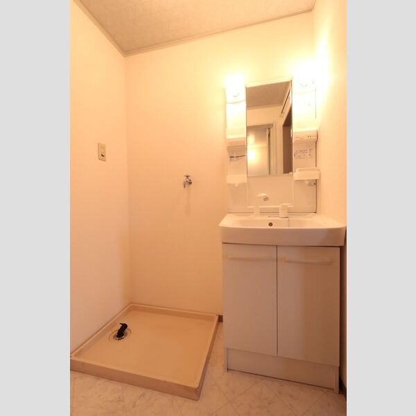 洗面所 (洗髪洗面化粧台と洗濯機置き場)