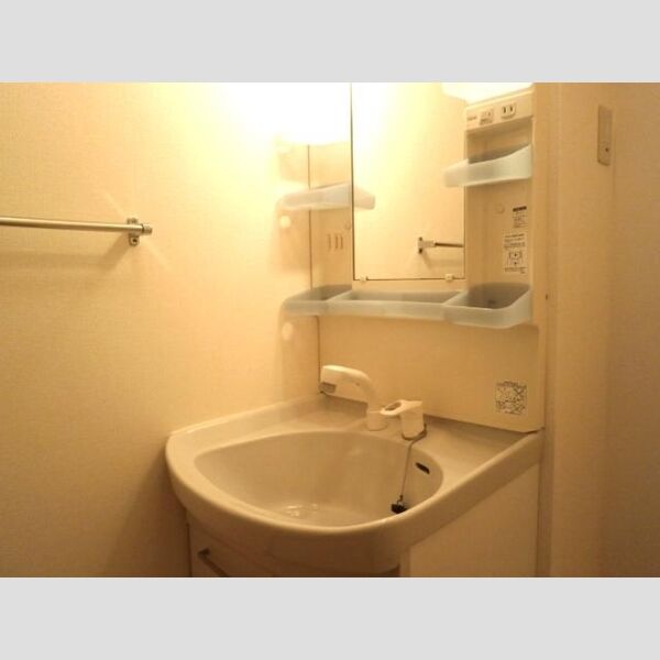 洗面所 (洗髪洗面化粧台)