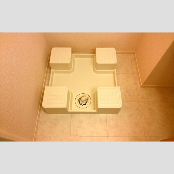 その他 (室内洗濯機置場)