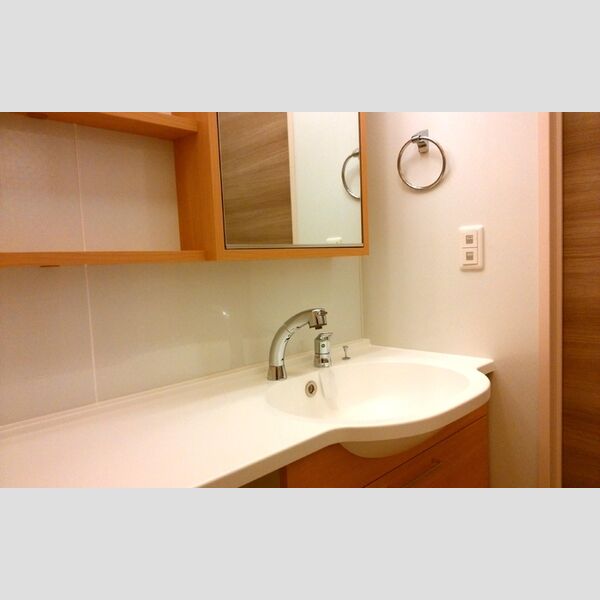 洗面所 (洗髪洗面化粧台)