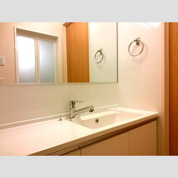 洗面所 (洗髪洗面化粧台)