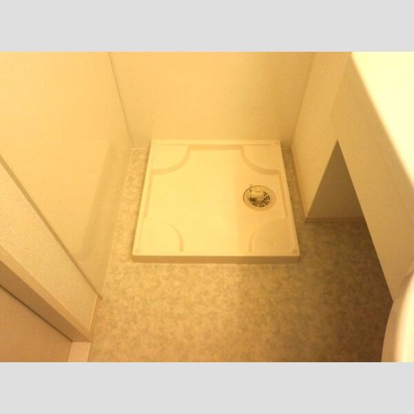 その他 (室内洗濯機置場)