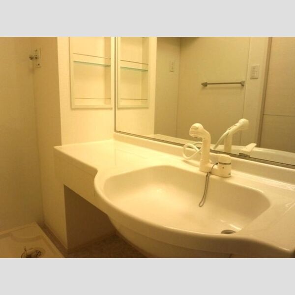 洗面所 (洗髪洗面化粧台)