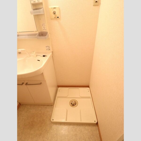 その他 (室内洗濯機置場)