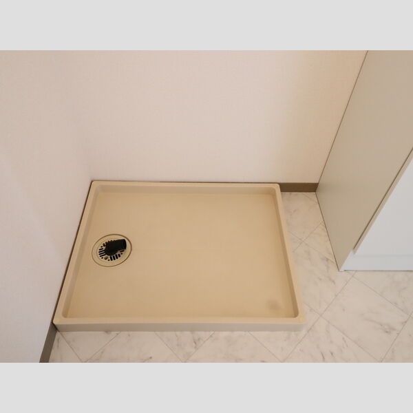 その他 (室内洗濯機置場)