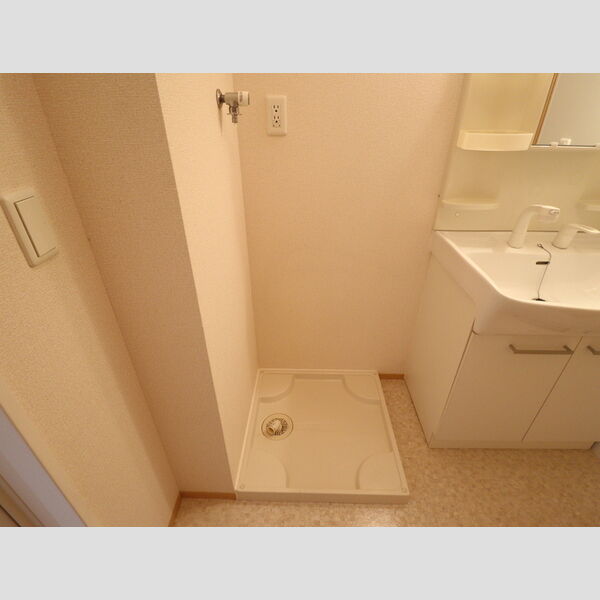 その他 (室内洗濯機置場)