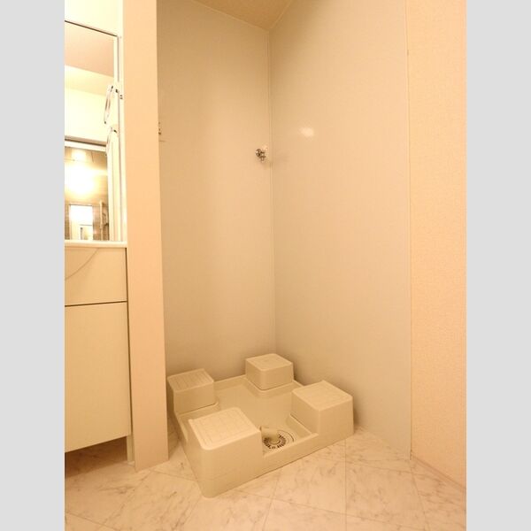 その他 (室内洗濯機置場)