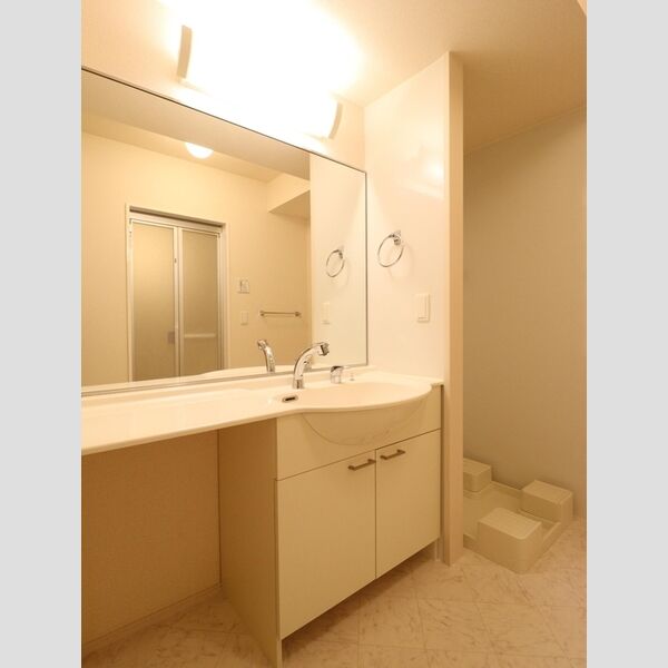 洗面所 (洗髪洗面化粧台)
