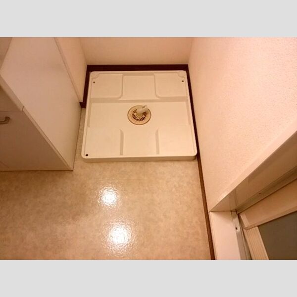 その他 (室内洗濯機置場)