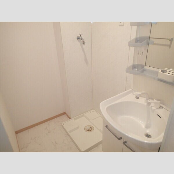 その他 (室内洗濯機置場)