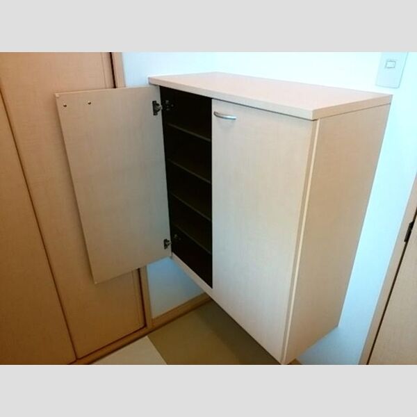 玄関 (シューズボックス(カウンタータイプ))