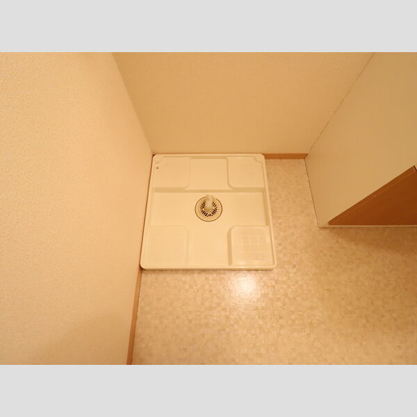 その他 (室内洗濯機置場)