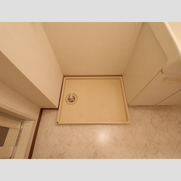 その他 (室内洗濯機置場)