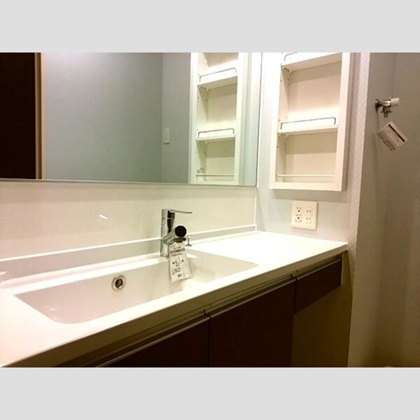 洗面所 (洗髪洗面化粧台)