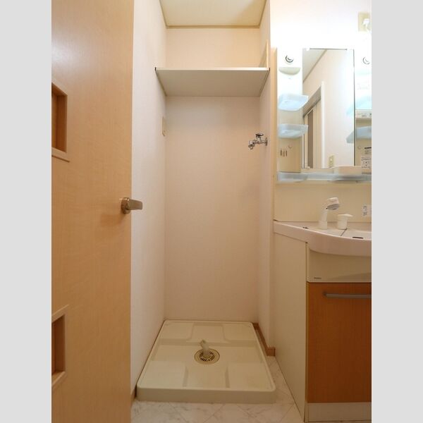 その他 (室内洗濯機置場)