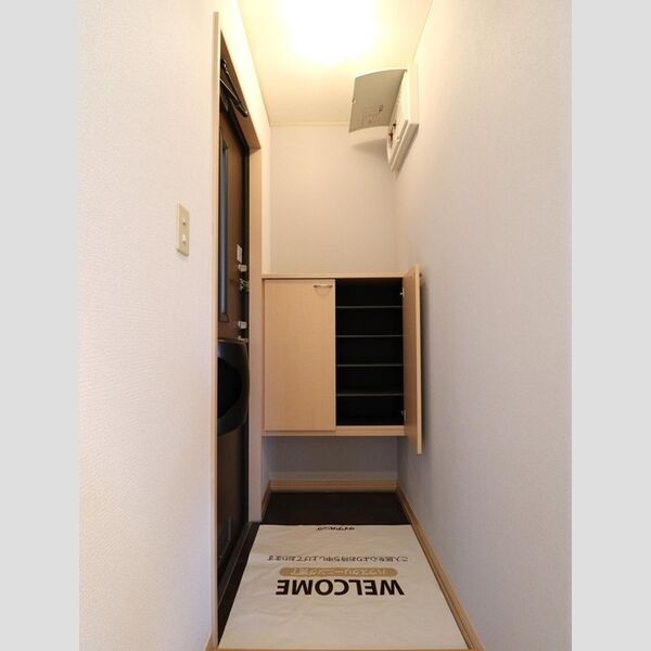 玄関 (シューズボックス(カウンタータイプ))