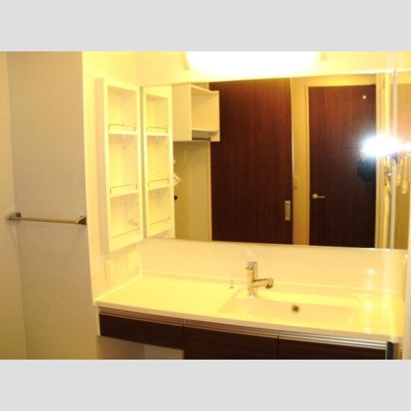 洗面所 (洗髪洗面化粧台)