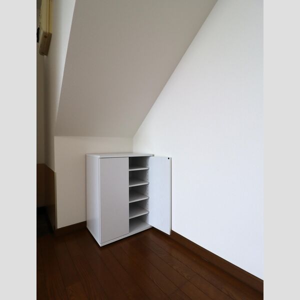 玄関 (シューズボックス(カウンタータイプ))