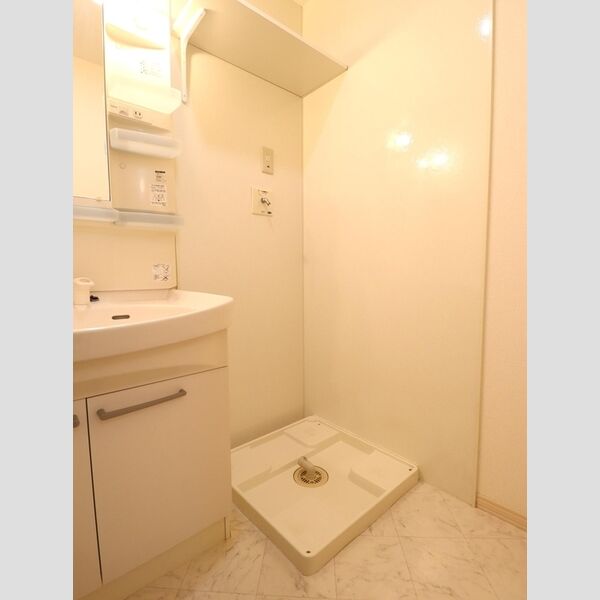 その他 (室内洗濯機置場)