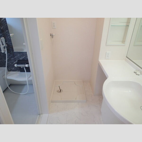 その他 (室内洗濯機置場)