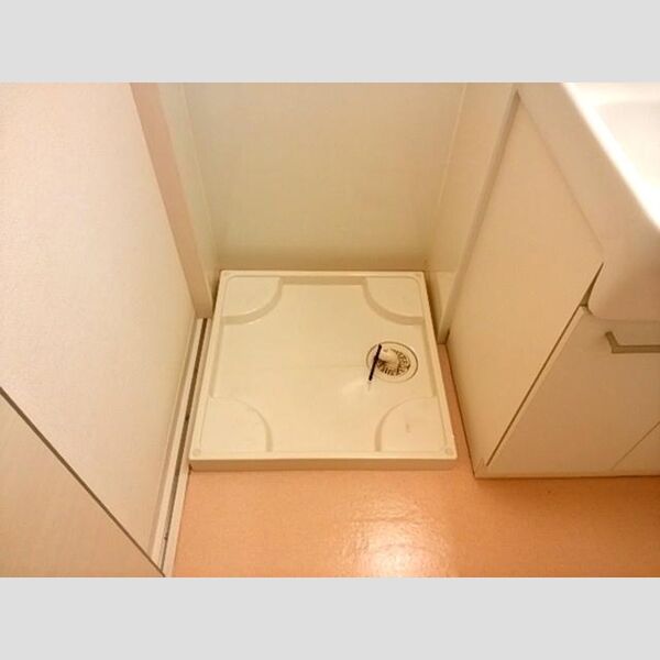 その他 (室内洗濯機置場)