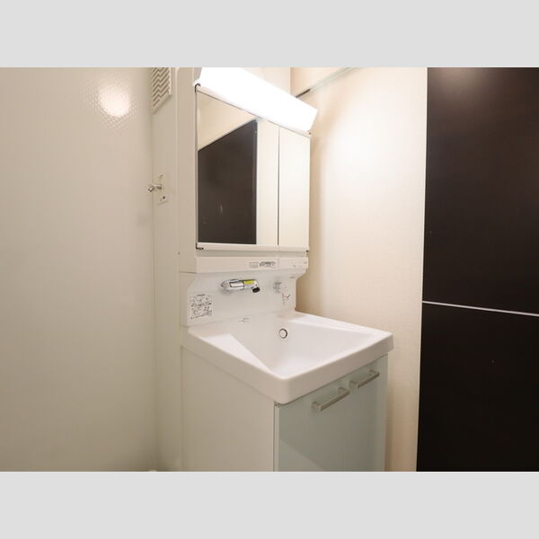 洗面所 (洗髪洗面化粧台)