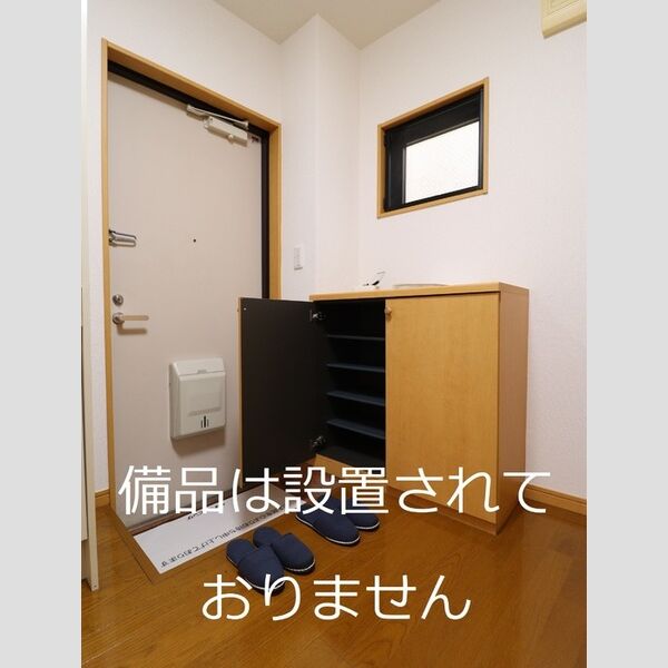 玄関 (シューズボックス(カウンタータイプ))