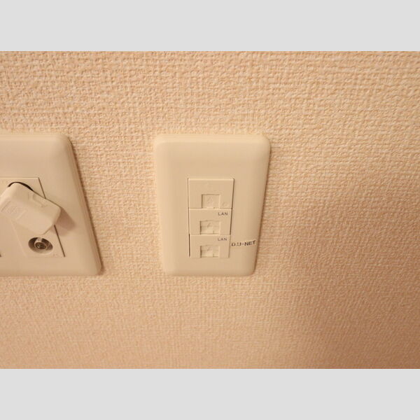 その他 (DUーNET)