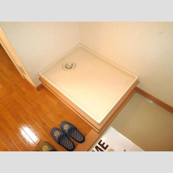 その他 (室内洗濯機置場)