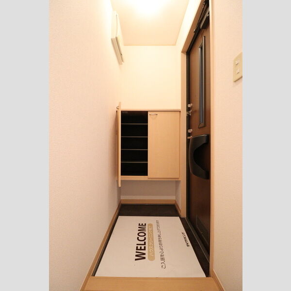 玄関 (シューズボックス(カウンタータイプ))