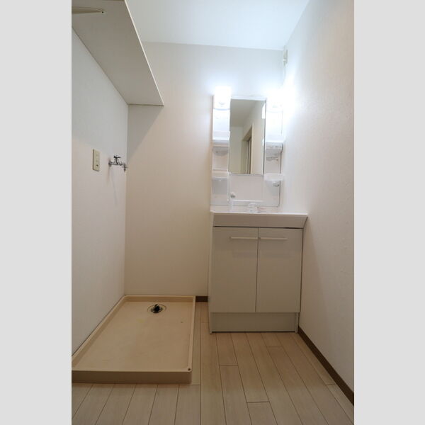 洗面所 (洗髪洗面化粧台と室内洗濯機置場)