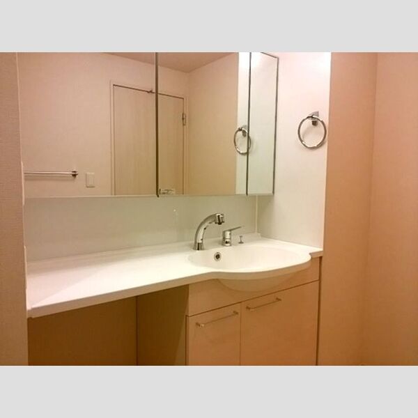 洗面所 (洗髪洗面化粧台)