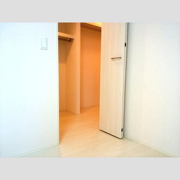 収納 (ウォークインクローゼット)