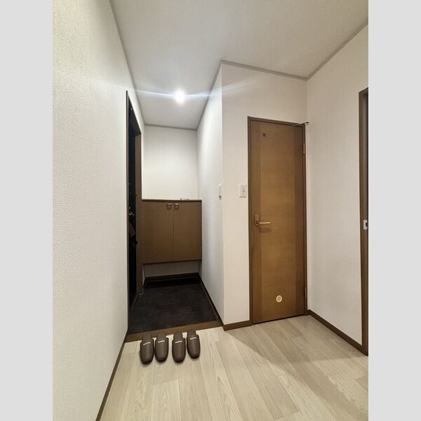 玄関 (シューズボックス(カウンタータイプ))
