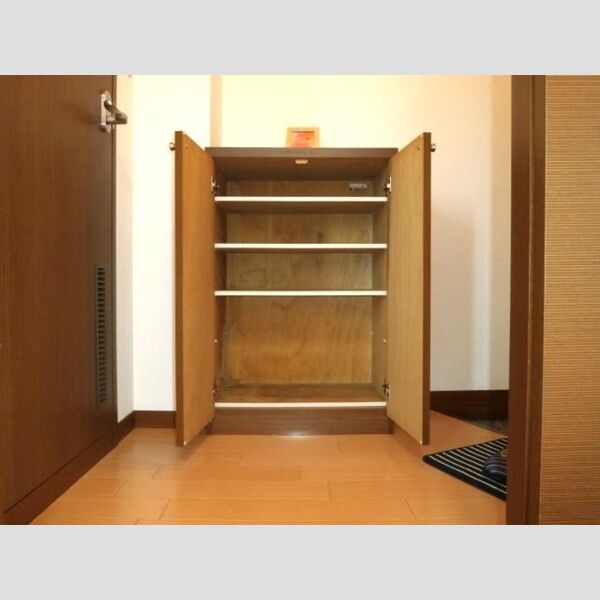 玄関 (シューズボックス(カウンタータイプ))