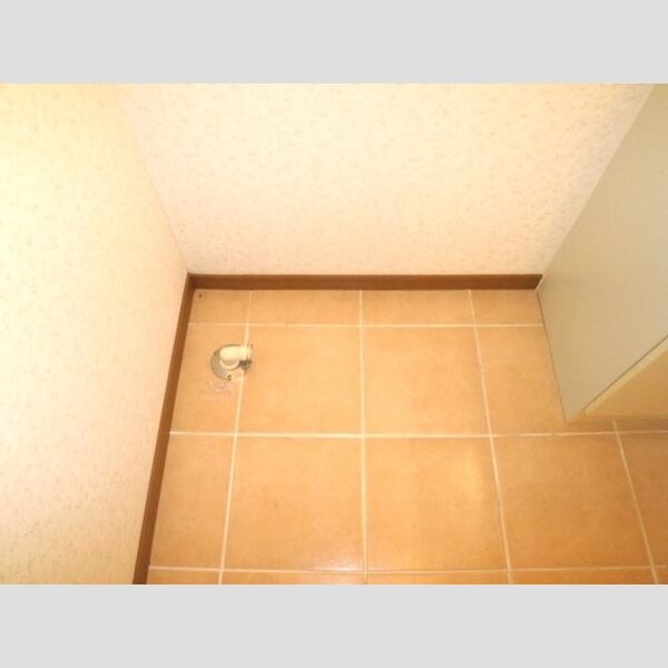 その他 (室内洗濯機置場)