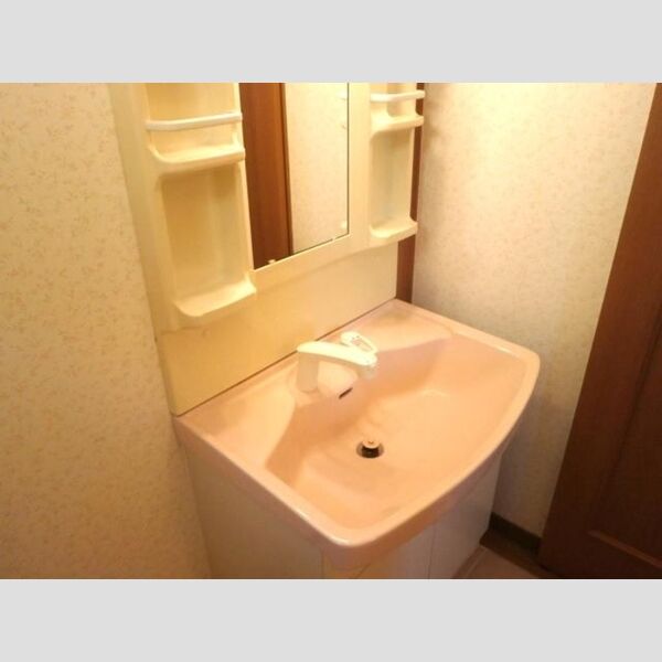 洗面所 (洗髪洗面化粧台)