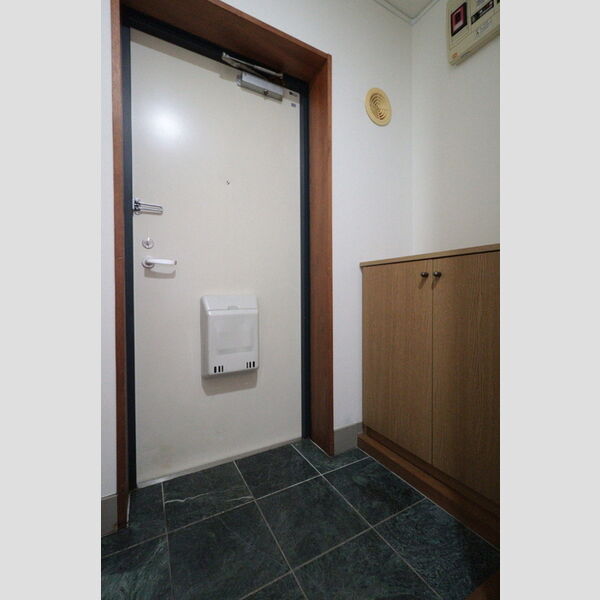 玄関 (シューズボックス(カウンタータイプ))