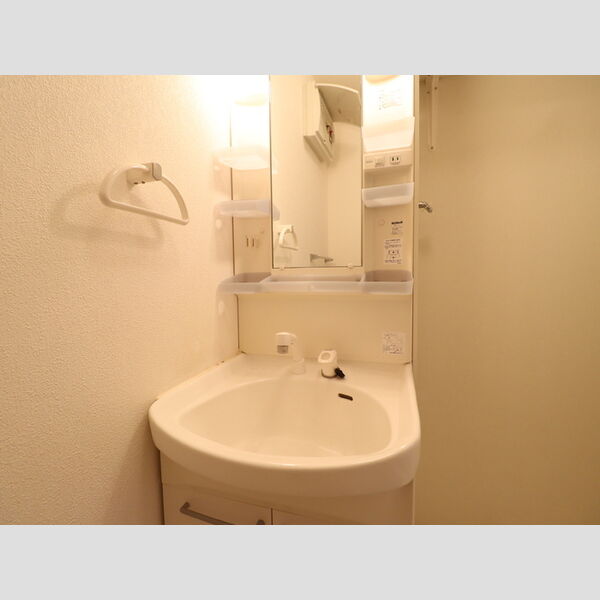 洗面所 (洗髪洗面化粧台)