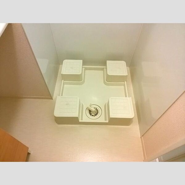 その他 (室内洗濯機置場)