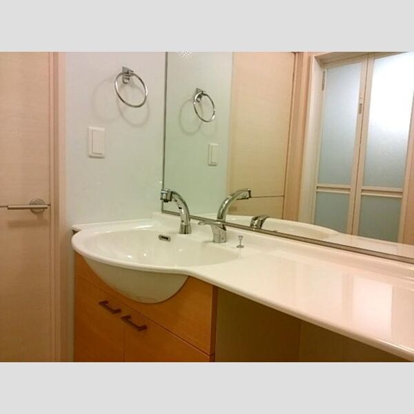 洗面所 (洗髪洗面化粧台)