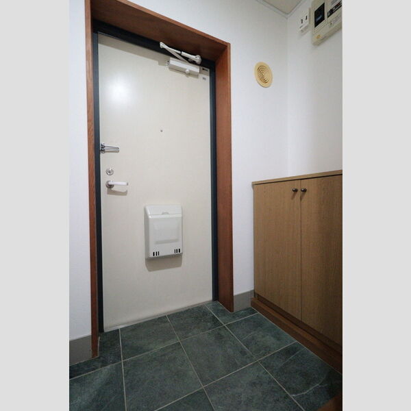 玄関 (シューズボックス(カウンタータイプ))