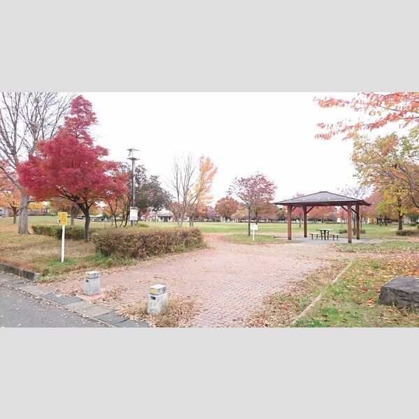 現地周辺 (三本柳中央公園)