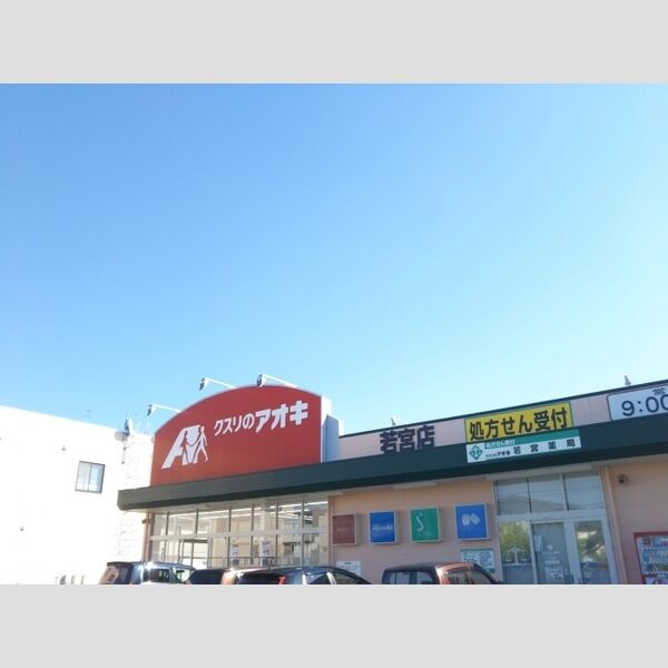 現地周辺 (クスリのアオキ)