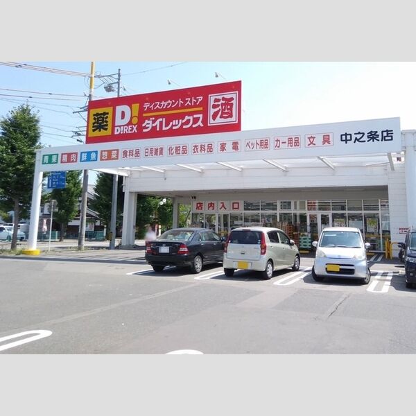 現地周辺 (ダイレックス 中之条店)