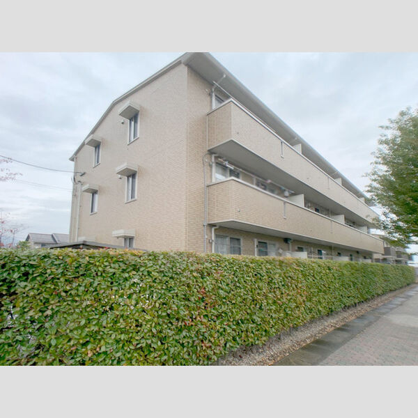 建物外観 (外観)