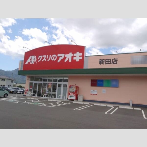 現地周辺 (クスリのアオキ　新田店)